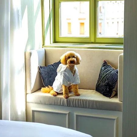 Szálloda Kimpton Bem By Ihg Budapest