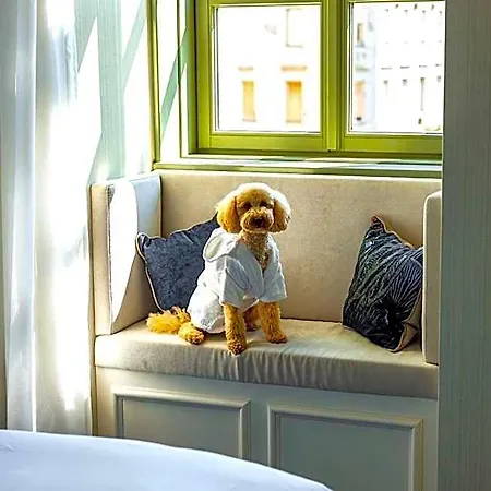 Kimpton Bem By Ihg Hotel 5*