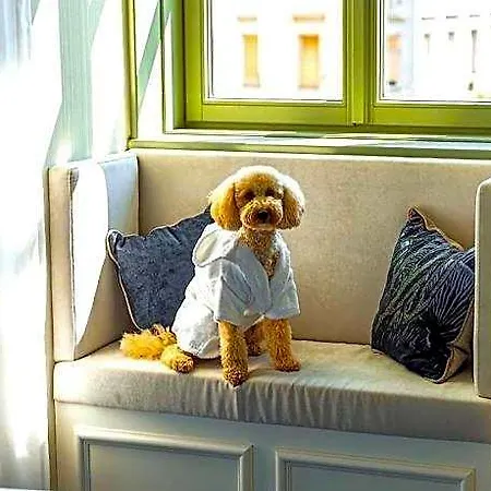Kimpton Bem By Ihg